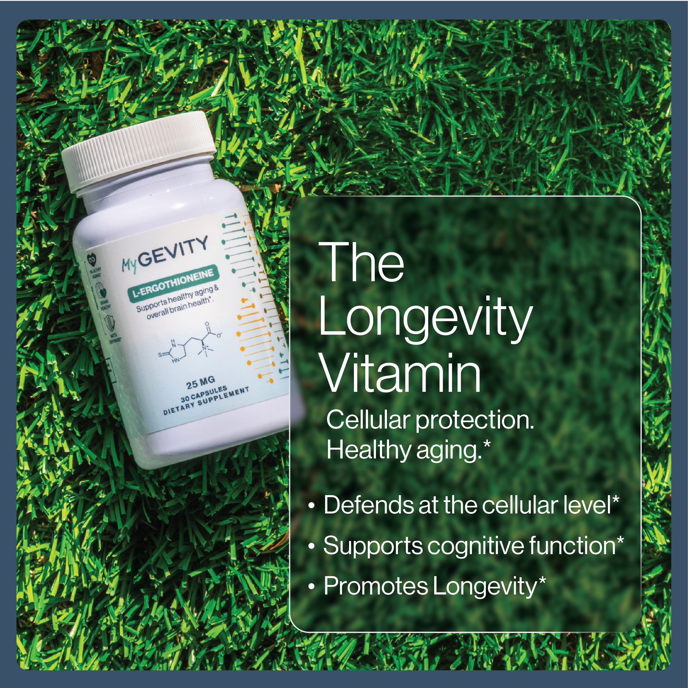L-Ergothioneine: The Longevity Vitamin Your Body Can't Make
