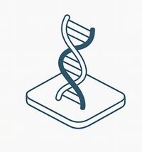 DNA strand icon